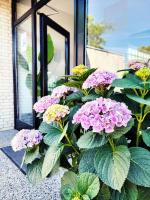 Strandnahe & hochwertige Ferienunterkunft, mit Gartenzugang, Parkplatz und Fahrradunterstellplatz - Bed and Breakfast