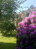 Nett in Mettmann - B&B