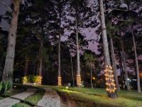 Villa Isabel - Bed and Breakfast Tegucigalpa