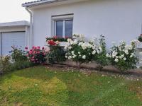 Charmante maison au calme - B&B