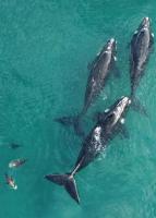 Complejo Anita Departamento Studio 08 - B&B Las Grutas