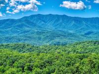 A Mountain Perch- 1089 of FREE attraction tickets for each paid day, Dollywood and more! - B&B