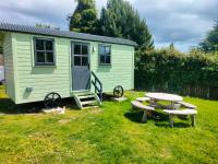 Shepherd's Hut in nature - Chambres d’hôtes Newtown Mount Kennedy