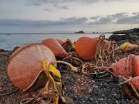 Seacily Apartments - B&B Capo Molini