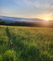 Cosy Cotswolds Getaway - Stow-on-the-Wold - Eagle Cottage - B&B Wyck Rissington