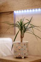 The Clock House - B&B Véria