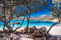 Casa Indipendente nel Cuore della Costa Smeralda Comfort per Famiglie e Gruppi - B&B Arzachena