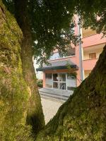 Ferienwohnung Brilon - Willingen - Ferienwohnung