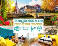 Bel AMI 02 - Turquoise & OR - Moderne Chic - Centre Ville - Accès Jardin - Clim - Wifi - Parking - Localisation idéale - B&B Schiltigheim