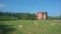 U' Cecere Agriturismo - B&B Agropoli