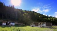 Forest Cabins - B&B