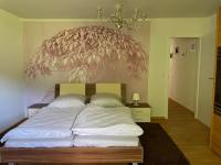 Ponyparadies - B&B Bad Wildungen