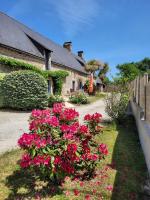 Ti Glas - B&B Grand-Champ