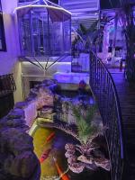 Colours - a sweet complex in a fairytale setting - B&B Ix-Xgħajriet