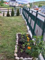 Neda Guesthouse - B&B Žabljak