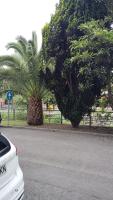 El Caudalin de Mieres - Bed and Breakfast