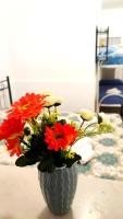 Stellina in centro Sweet Apartaments - B&B Vasto
