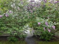 Ihana rivitalohuoneisto tarjolla - B&B Rovaniemi