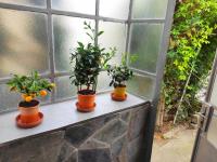 Soukromý dům se zahradou u Paříků - B&B Bakov nad Jizerou