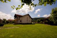 Casa Royal - B&B Mintia