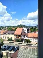 Best Apartment in the Center - Ferienwohnung Mukatschewo