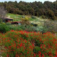 Casa el Retiro en Mazo - Ferienwohnung