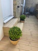 Stylish 1 Bedroom Flat in Heart of Cowes - B&B West Cowes