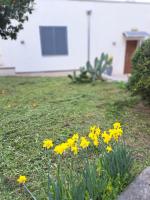 Il Boschetto - Bed and Breakfast