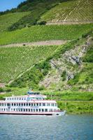 Winzerhof Ross & Rose - B&B Trechtingshausen