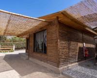 Cabañas Rivadavia Spa - B&B Vicuña