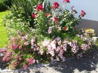 Ferienwohnung Wetterisch - B&B