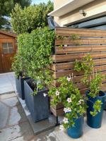 Superbe appartement, à proximité du centre d'Arles - Bed and Breakfast Arles