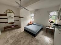 Habitación Deluxe con cama extragrande