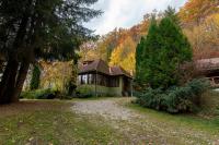 Esigman - log cabin in Transylvania - B&B