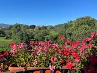 Vila Niculina - B&B Moeciu de Jos