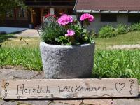 Haus Ruf - Ferienwohnung Paradiesblick - Ferienwohnung Schonach