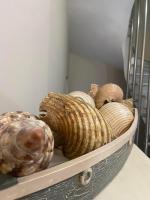 S & S Apartment Preveza - Ferienwohnung Prevesa