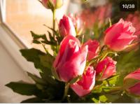 HLA king court 3 - B&B Motherwell