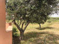 Appartement - Vue sur Jardin