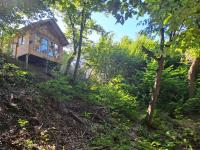 Bear Watching Tiny House - Ferienwohnung