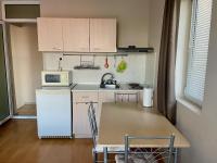 One-Bedroom Apartment with Balcony (4 Adults)