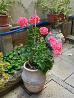 Appartamento MANSAMARE - B&B Grosseto