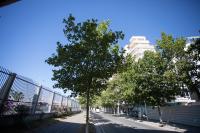 Durres Port View Apartment - Ferienwohnung
