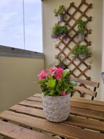 Pae külaliskorter - B&B Kärdla