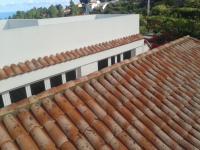 Finca las Palmeras - B&B Icod de los Vinos