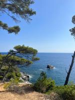 Cigalou fabuleux studio entre le Brusc et Sanary - B&B
