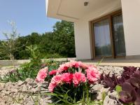 Apartment Oblica-beautiful new, well equipped apartment - Ferienwohnung