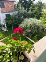 Eni Rooms - B&B Valona