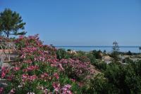 Appartamento con Vista Giardino