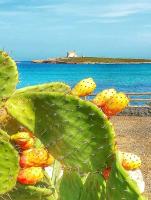 Casa Guttuso 1 - B&B Porto Palo